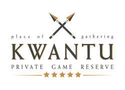 Kwantu Private Game Reserve Logo