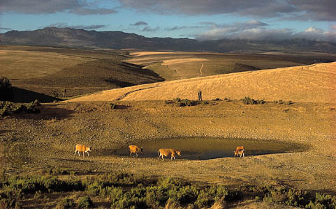 Eastern Cape