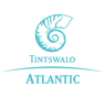 Tintswalo Atlantic Logo